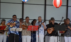 Ukelele Group